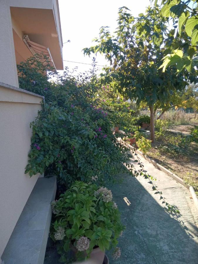 Apartmani Danijela 로파르 외부 사진